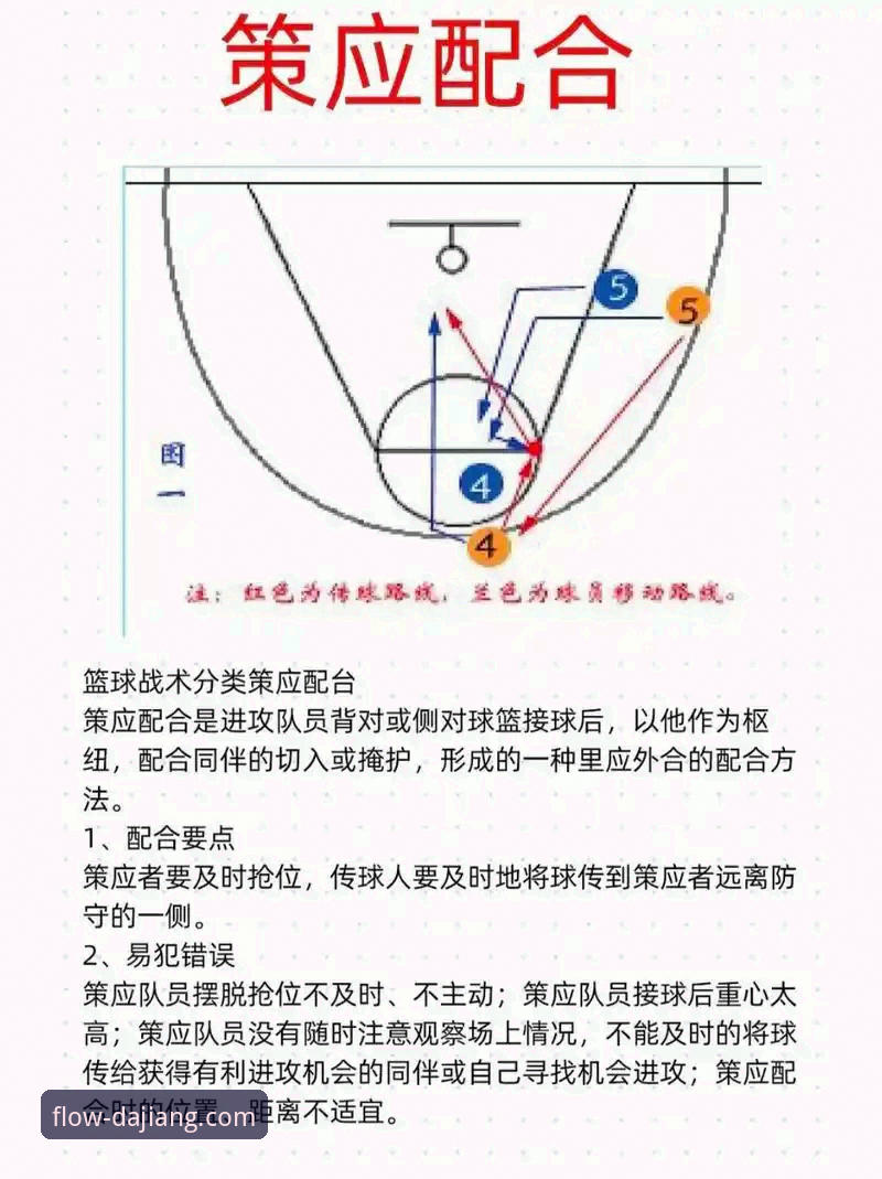 中国女篮资格赛关键一胜的战术深度解析